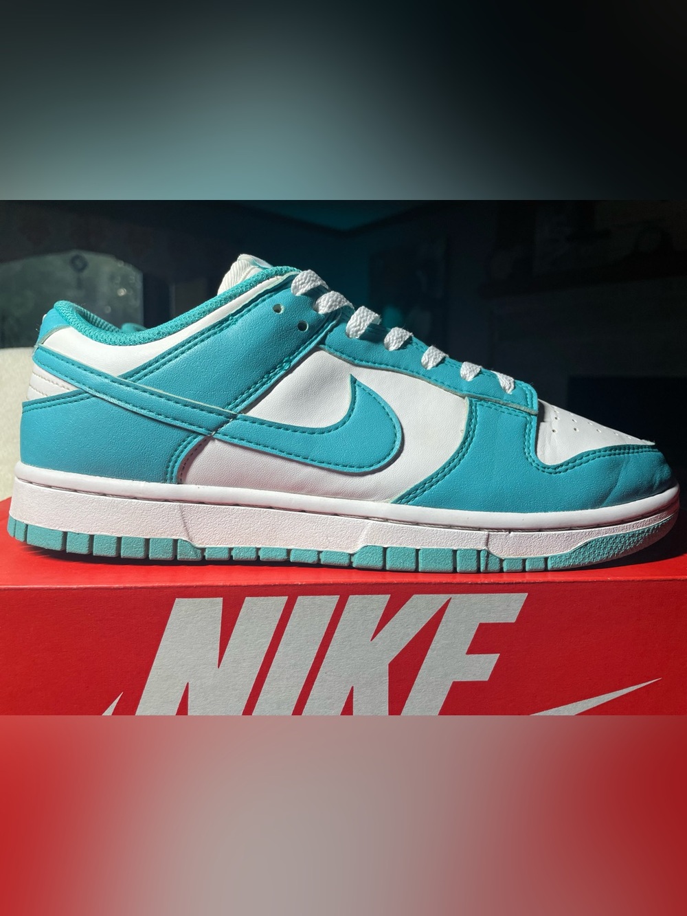 Nike Dunk Low Next Nature
Dusty Cactus 8M-9.5W